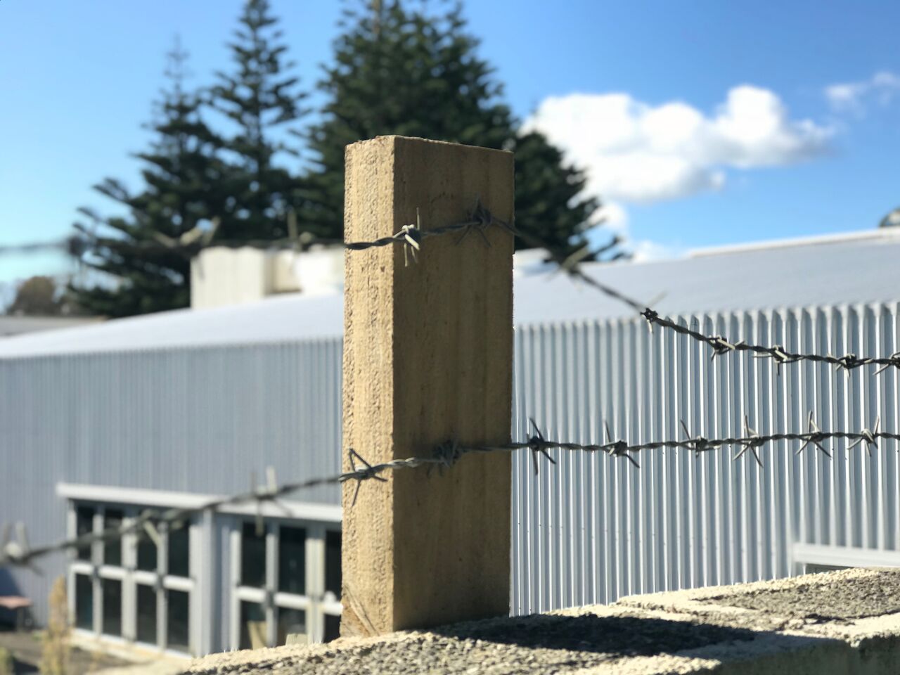 raumati pool